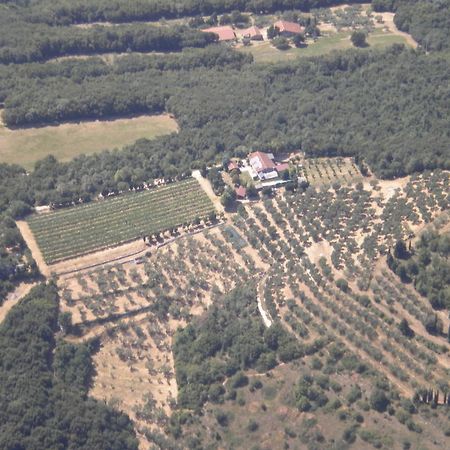 B&B Ca' Morino Verona Exteriör bild