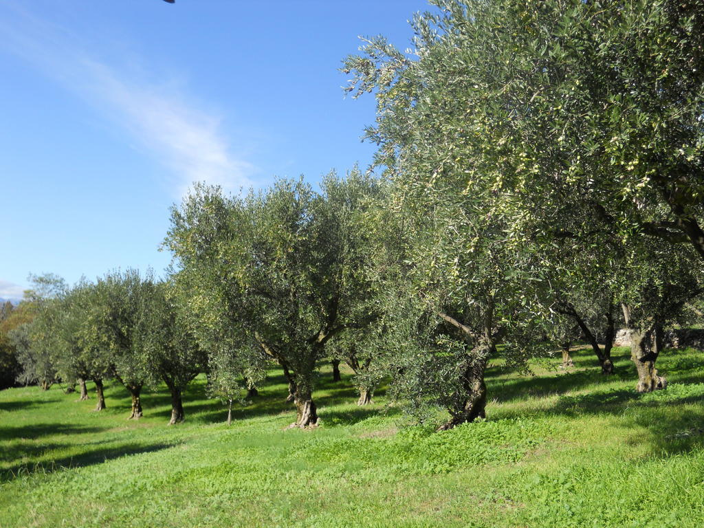 B&B Ca' Morino Verona Exteriör bild