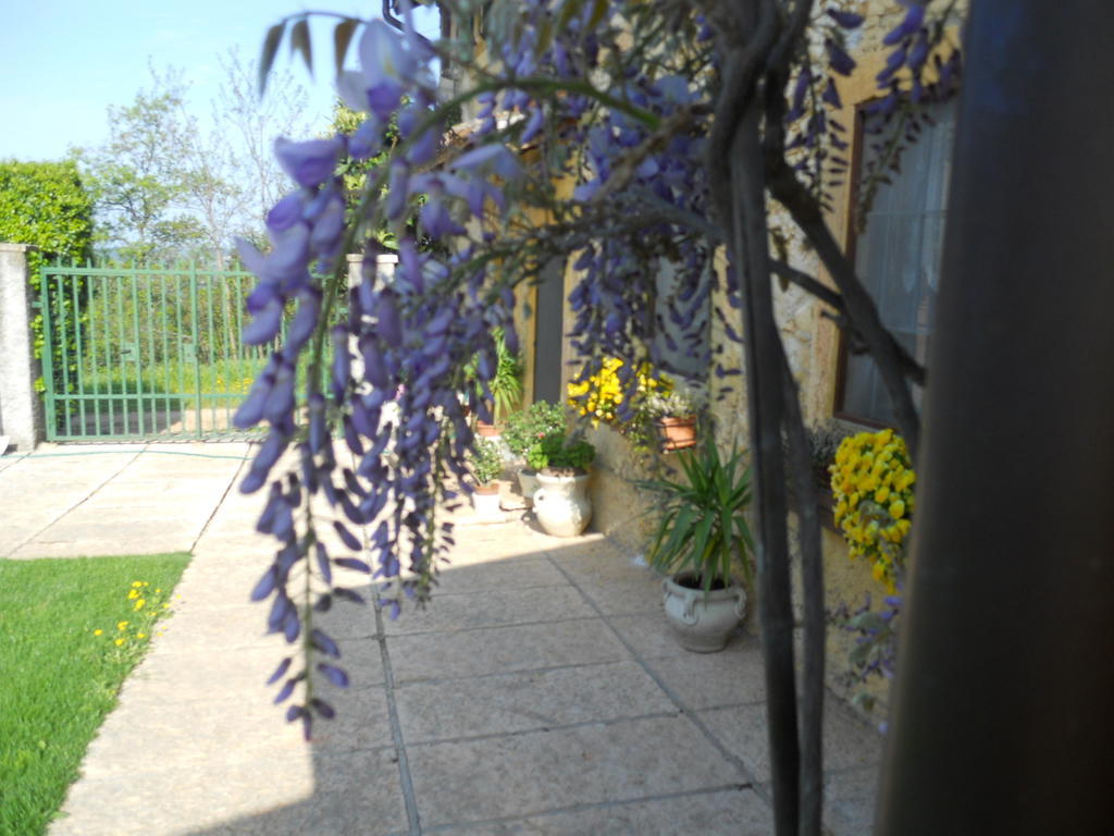 B&B Ca' Morino Verona Exteriör bild