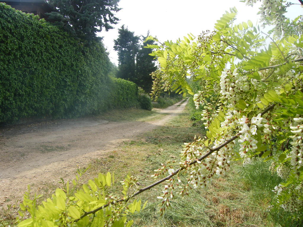 B&B Ca' Morino Verona Exteriör bild